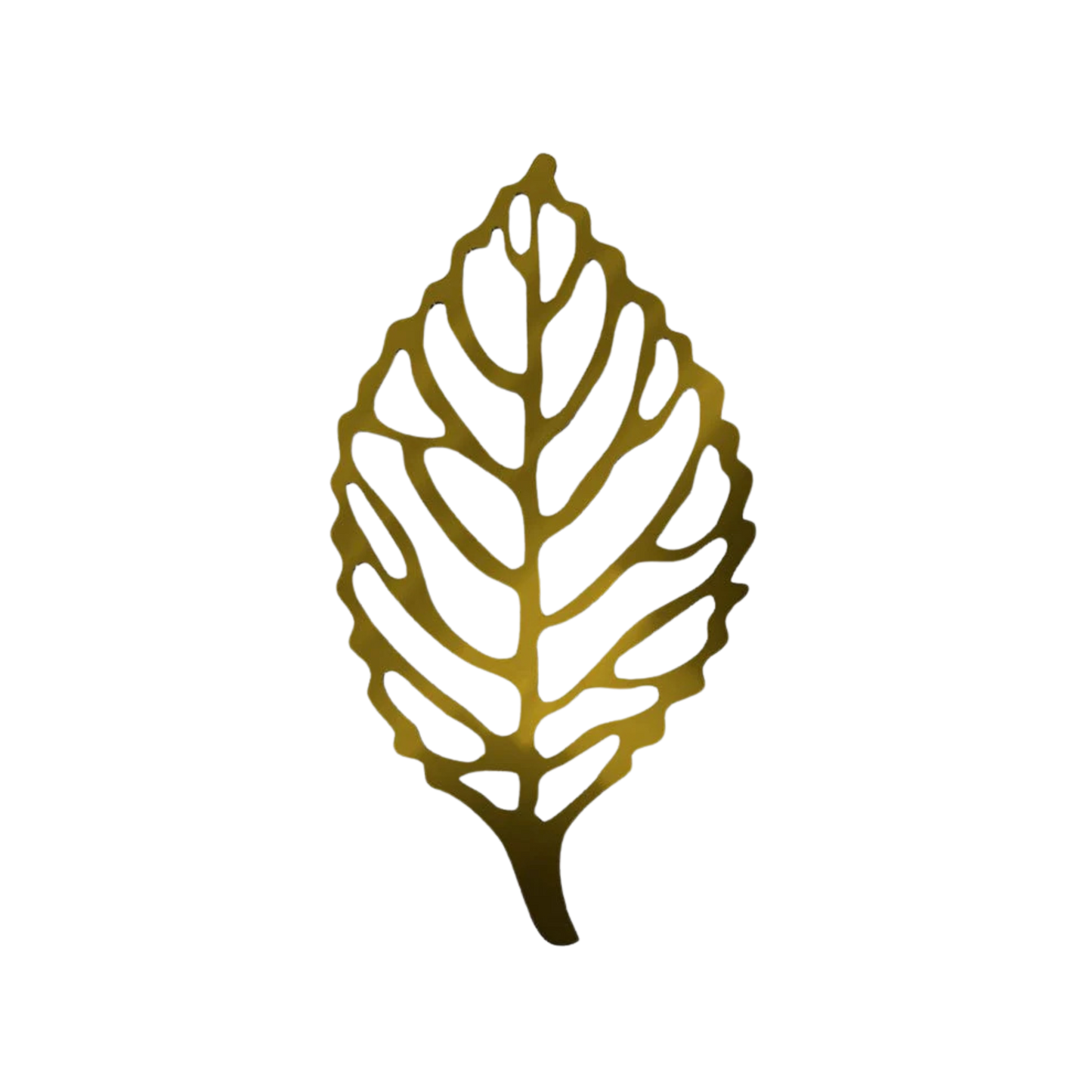 Skeleton Leaf (2Pcs/Pkt) Acrylic Cutout