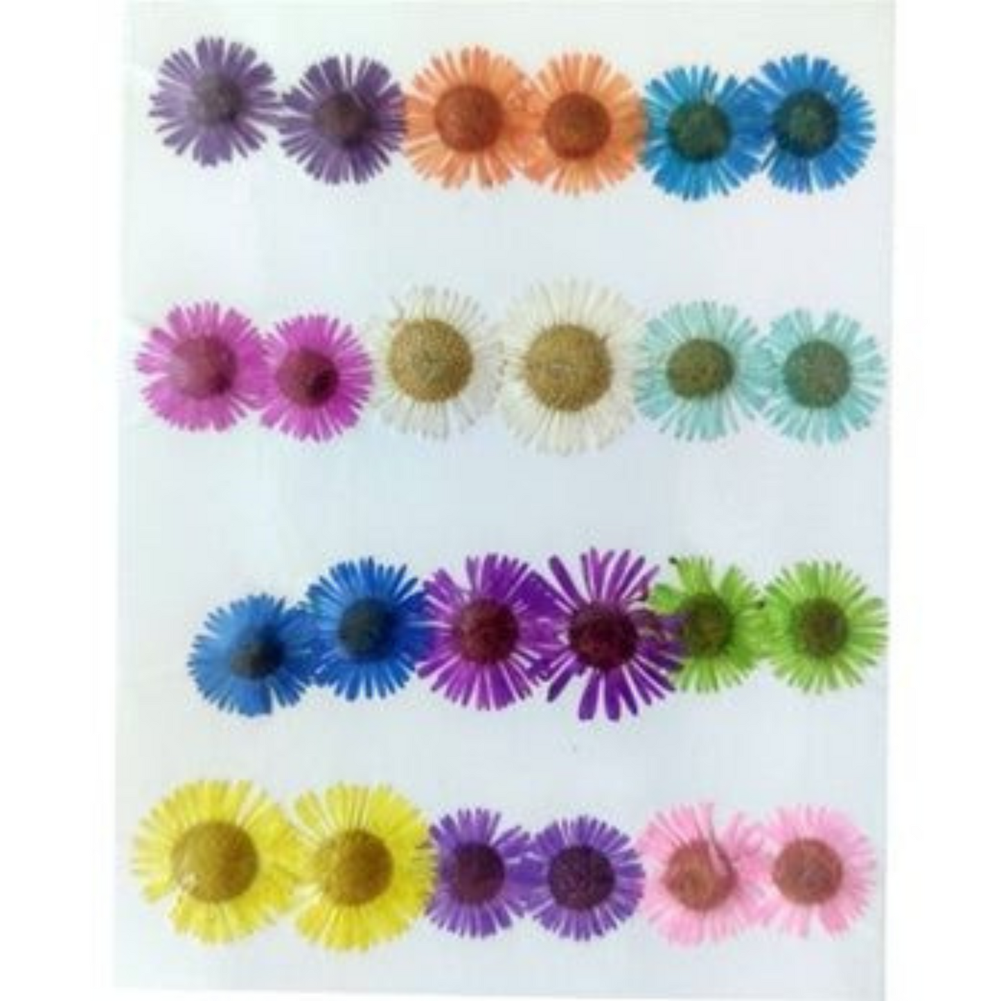 24 IN 1 Pressed Flower's